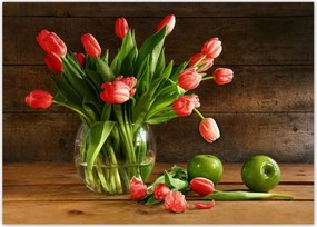 Poszterek 70x50 Vörös tulipánok