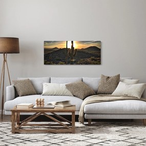 Kép - kaktuszok a napon (120x50 cm)