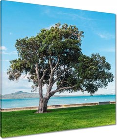 Vászonkép 60x60 Törhetetlen