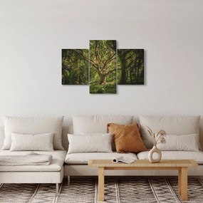 Fa képe (90x60 cm)