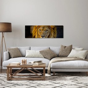 Kép - Egy oroszlán portréja (órával) (90x30 cm)