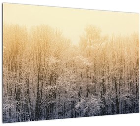 Fagyos erdő képe (üvegen) (70x50 cm)