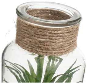 Műnövény szett 4 db-os (magasság 12 cm) Cactus – Casa Selección