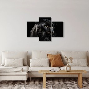 Kép - Fekete Párduc (90x60 cm)