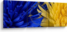 Kép - virág részlet (órával) (90x30 cm)