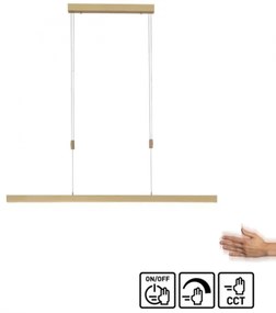 Paul Neuhaus 2568-60 - LED dimmelhető csillár zsinóron ADRIANA LED/14W/230V réz