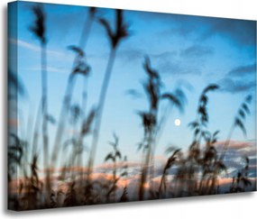 Vászonkép Természet Mező Rét Napfelkelte 70x50