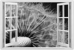 Poszterek 60x40 Pitypang Virág Virágok