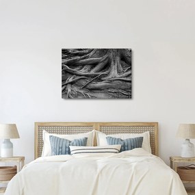Kép - A fa gyökerei (70x50 cm)