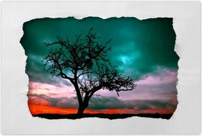 Poszterek 90x60 Naplemente a sivatagban