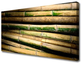 Vászonkép falra Bambusz növény természet 100x50 cm