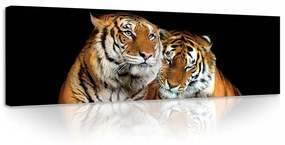 Tigrisek, vászonkép, 145x45 cm méretben