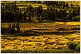 Poszterek 120x80 Tájkép Látvány