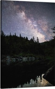 Vászonkép Kozmosz Ég a tóparton 50x80