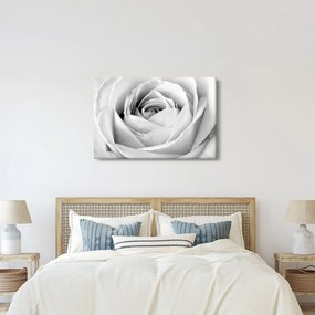 Kép - Rózsa virág részlete (90x60 cm)