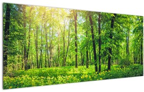Kép - Tavaszi lomberdő (120x50 cm)