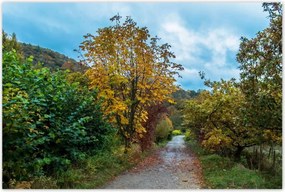 Poszterek 120x80 Őszi fák