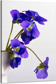 Botanika vászonkép Lila ibolyák 60x90