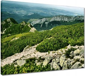 Vászonkép 50x40 Tátra Lengyel hegyek Kilátás