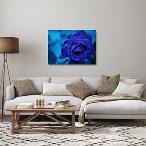 Kék rózsa képe (üvegen) (70x50 cm)