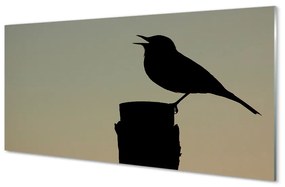 Üvegképek fekete madár 120x60cm