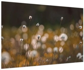 Kép - Gyapotfűvel borított rét N⁰2 (90x60 cm)