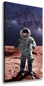 Vászonkép falra Űrhajós ocv-99633895