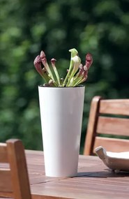 Prosperplast TUBUS SLIM fehér fényes 20 cm virágcserép