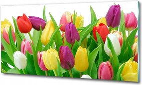 Fotó üvegkép Gyógynövények a zsinóron 100x70