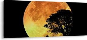 Árnyékok a holdfényben képe (120x50 cm)