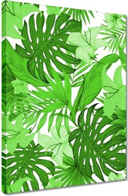 Vászonkép 30x40 Leaves Monstera New look