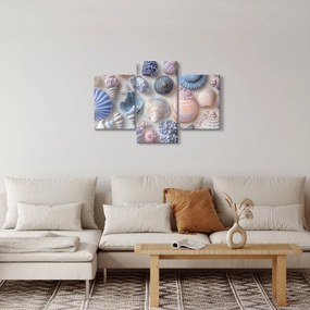 Kép - Kagylógyűjtemény (90x60 cm)