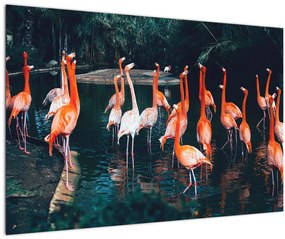 Flamingók csordája (90x60 cm)