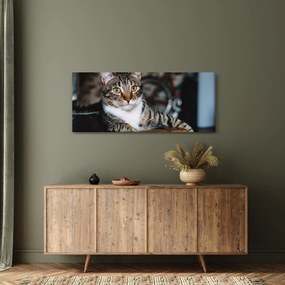 Macska képe (120x50 cm)