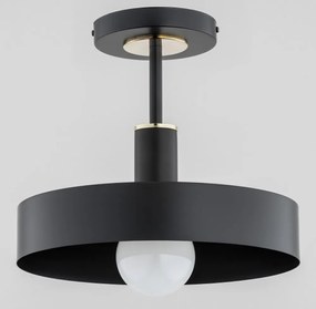 Alfa BERYT 60976 Plafonlámpa 1x60W/E27 IP20