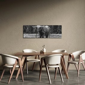 Kép - Skót tehén (órával) (90x30 cm)