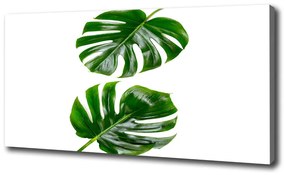 Fali vászonkép Trópusi levelek oc-145760830