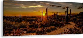 Kép - A nap vége az arizonai sivatagban (120x50 cm)