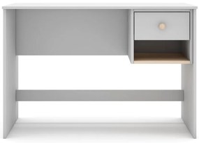 Gyerek íróasztal 55x110 cm Esteban – Marckeric