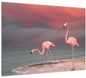 Flamingók képe (üvegen) (70x50 cm)