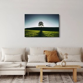 Természet kép - fa (90x60 cm)