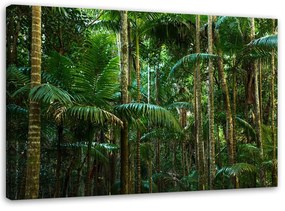 Gario Vászonkép Zöld pálmák Méret: 60 x 40 cm