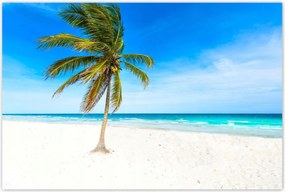 Poszterek 120x80 Trópusok Tåjkép Pålma