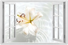 Poszterek 120x80 Virág a vízen Név