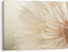 Kép - Virág részletek (70x50 cm)