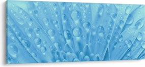 Kép - Makro felvétel egy virágról (120x50 cm)