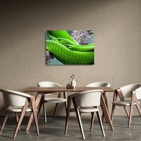 Zöld kígyók képe (üvegen) (70x50 cm)