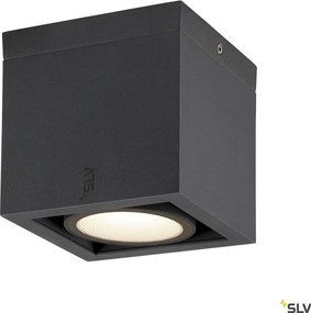 SLV 1006316 ESKINA Modern Kültéri Mennyezeti Lámpa LED IP65