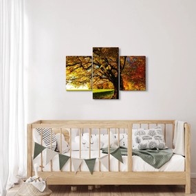 Egy őszi fa képe (90x60 cm)