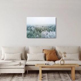 Kép - Havas erdőcsúcsok (üvegen) (70x50 cm)